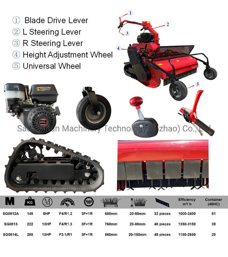 Gasoline Grass Cutting Lawn Mower Agricultural Machinery High Quality