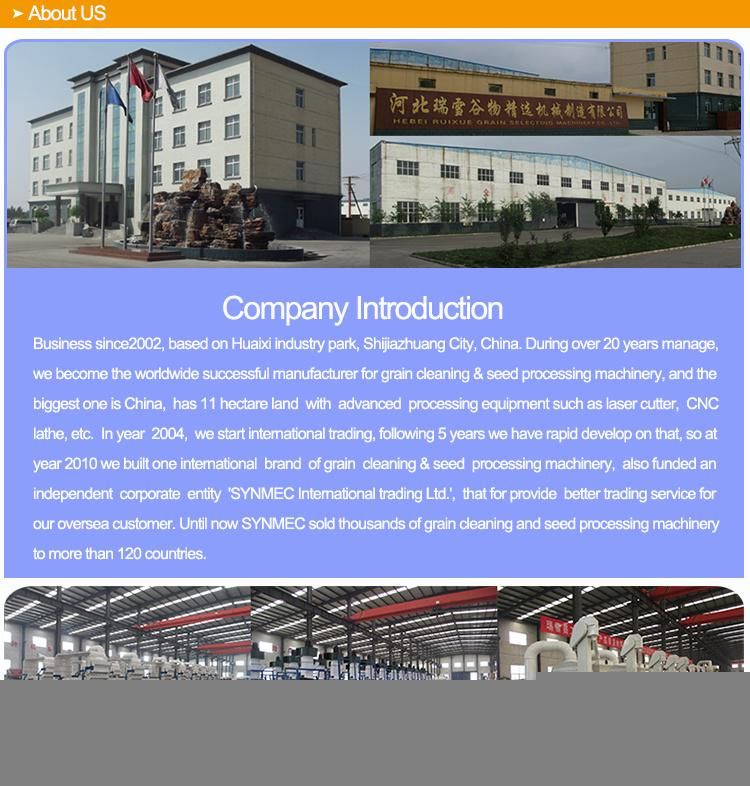 Oat Millet Seed Cleaning and Processing Equipment