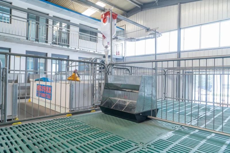 Pig Farm House Equipment Piglet Nursery Pen for Sale