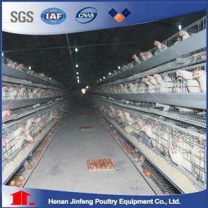 Automatic Factory Direct Supply Chicken Layer Cage Cheap Chicken Cage Poultry Farming Equipment