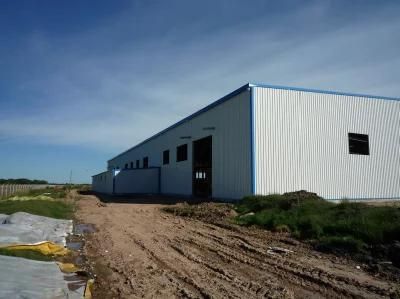 Coat Steel Structure Building Warehouse