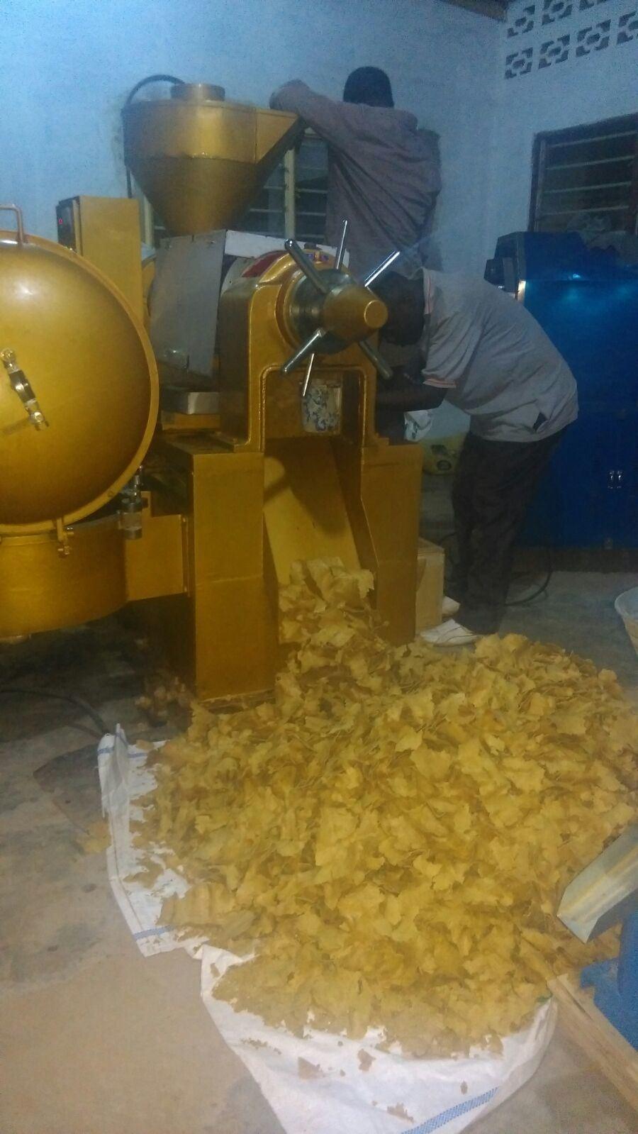 Guangxin Peanut Oil Press Machine with Oil Filter Yzlxq140
