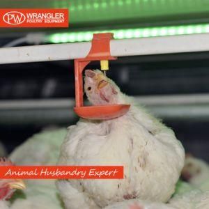 Good Price Automatic Poultry Drinker for Chicken/Layer/Broiler/Breeder