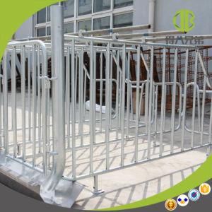 Good Price and Good Quality Customized Sow Limited Crate Gestation Stalls