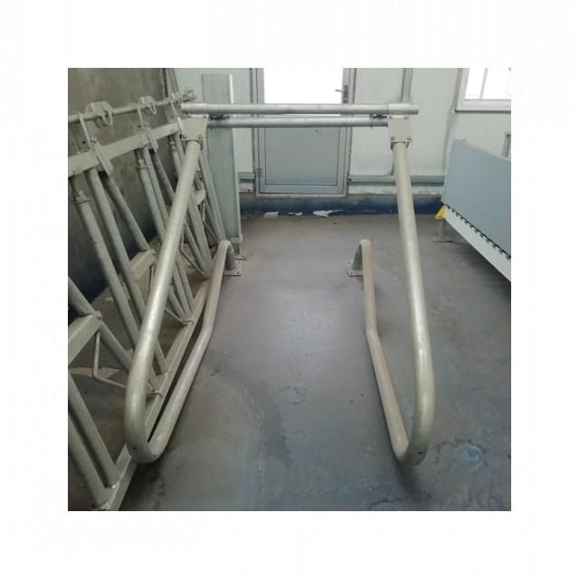 Cow Headlock with Hot-Galvanized Steel Pipe / Cow Equipment / Cattle Headlock China