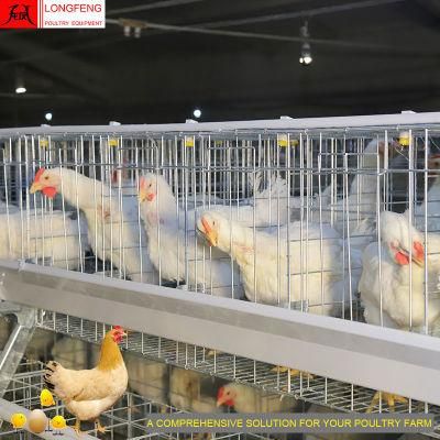 430cm2 or 450cm2 Local After-Sale Service in Asia a Type Poultry Farm Equipment