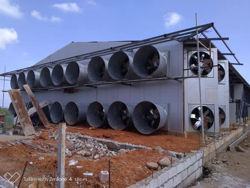 Automatic Controlled Chicken Shed Free Range Broiler Equipment Completely