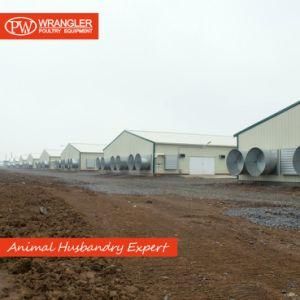 Full Set Poultry Farm Equipment