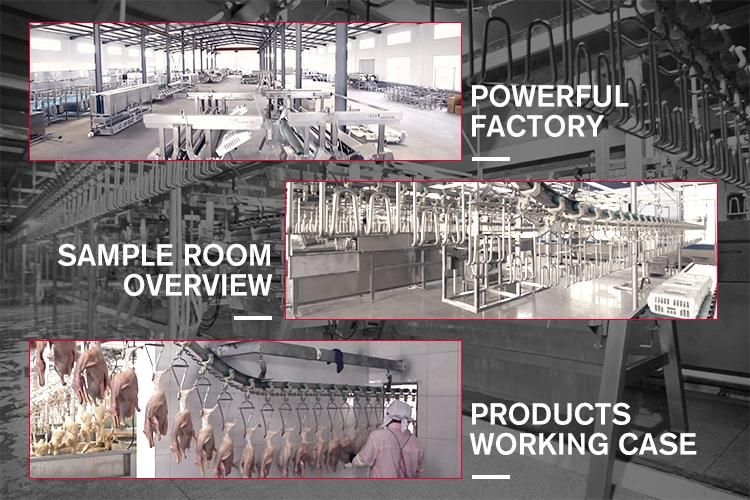 500-12000bph Halal Chicken Slaughter Line Chicken Slaughter Plant Slaughter Machine Price