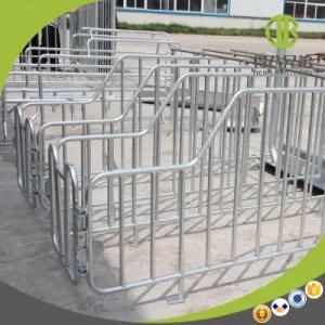 Pig Equipment Galvanized Pipe Sow Gestation Stall Cage