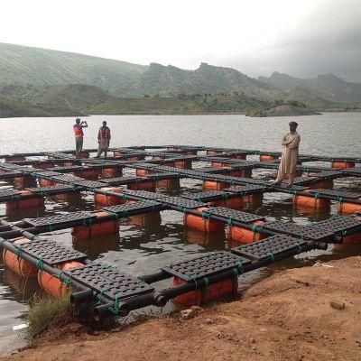 Square Floating Tilapia Catfish Farming Aquaculture Net Cage