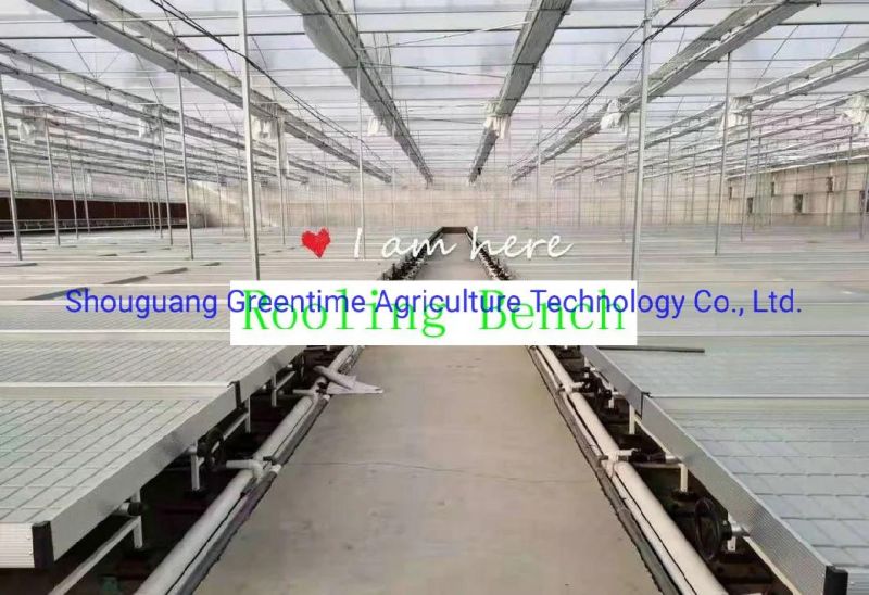 Greenhouse Active Aqua Fast Fit 4X8FT Rolling Bench Trays Grow Tables System for Sale