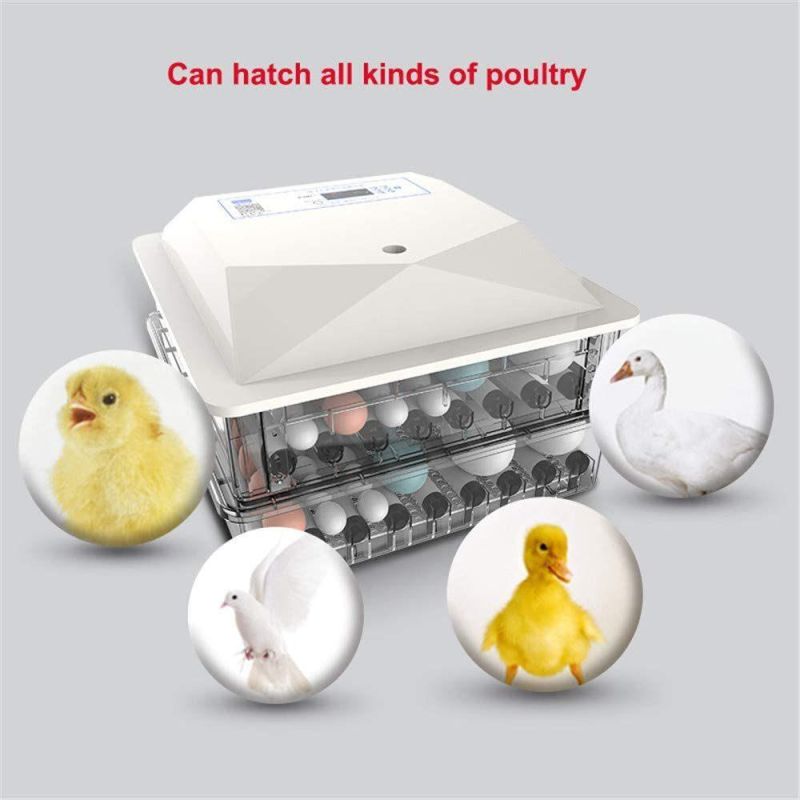 CE Automatic Hatching Quail Egg Incubator