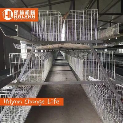 Poultry Farming/Farm Equipment/Machine Broiler Layer High Rate Baby Chicken Cage