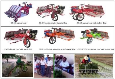 8 Row Walking Rice Transplanter