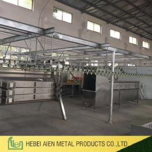 Chicken Slaughterhouse Equipment/ Poultry Slaughter