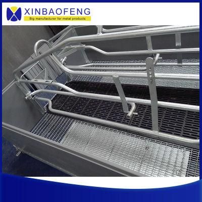 Made-in-China Pig Gestation Stall Farrowing Crate