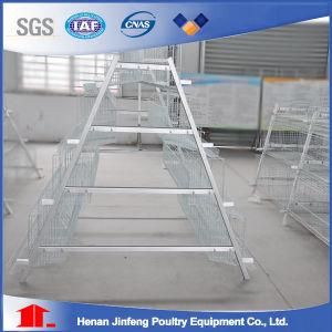 Jinfeng High Quality Automatic Layer Chicken Cage System for Sell