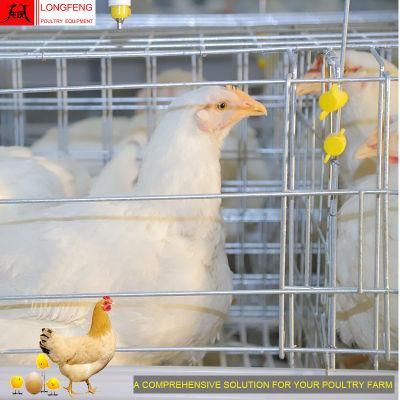 15-20years Cages a Type Chicken Layer Battery Cage Poultry Farm Equipment Manufacture 9Ltd390/3120/4120/4160