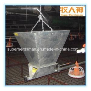 High Quality Automatic Poultry Equipment for Chicken