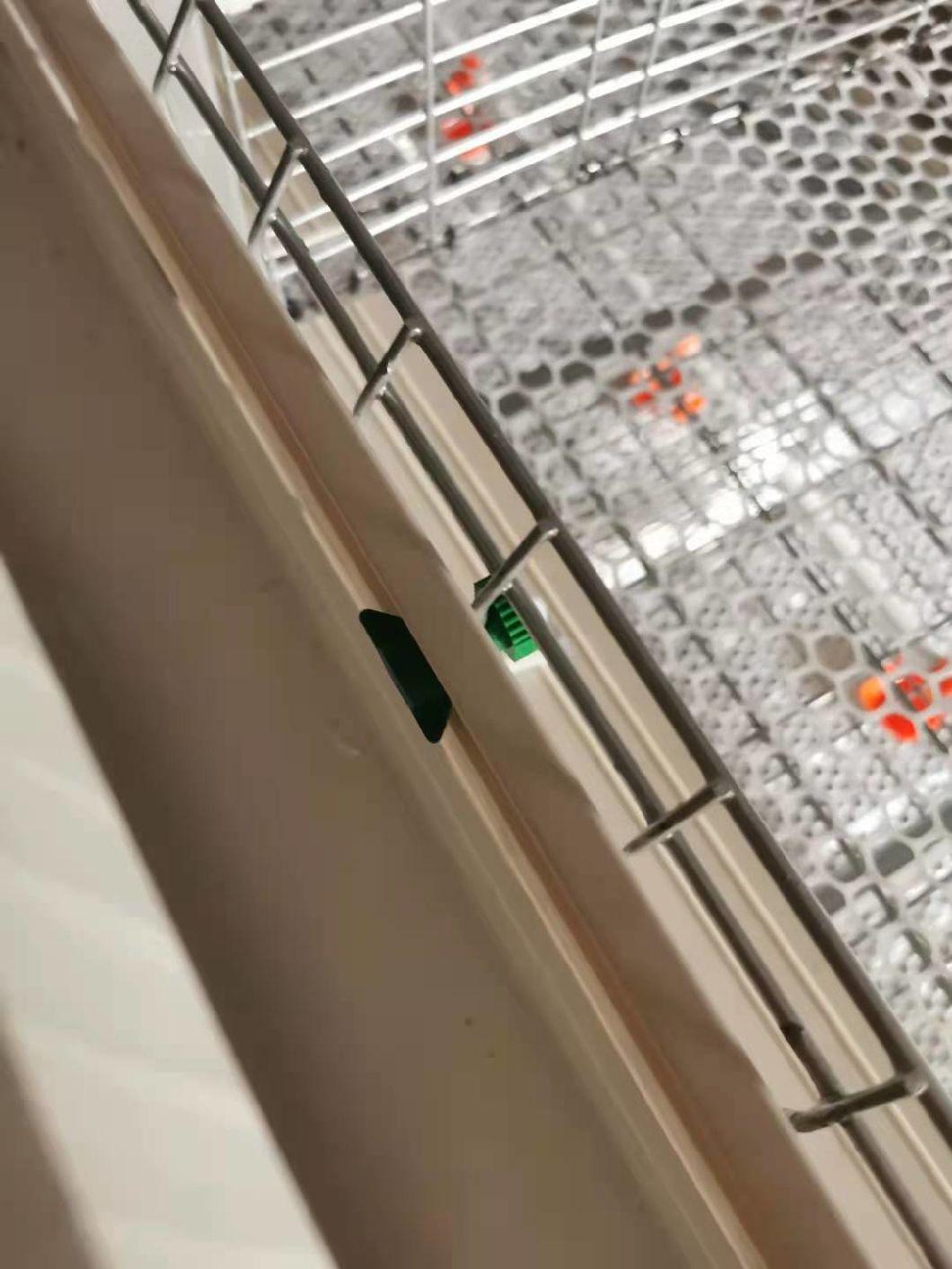 Broilerfactory Poultry Equipment Galvanized Cage H Type Cage