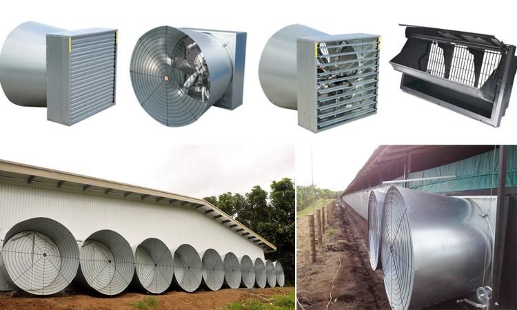 Steel Structure Agriculture Poultry Farm Chicken Feeder and Drinker