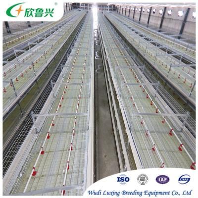 Hot DIP Galvanized Steel Broiler Chicken Cage for Battery Farm