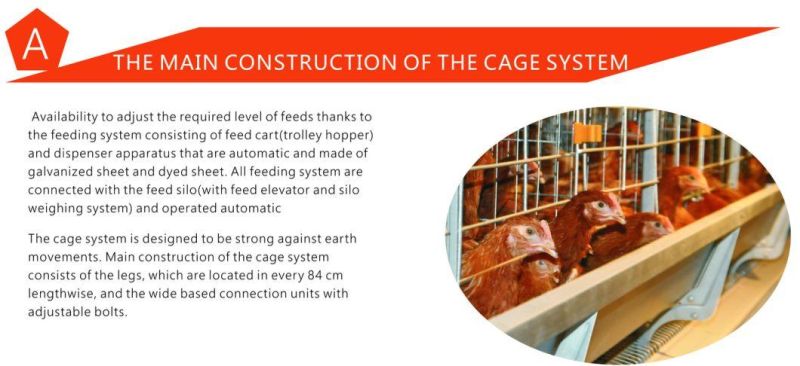 Chicken Cage Poultry Raising Equipment for Large Scale Poultry Farm