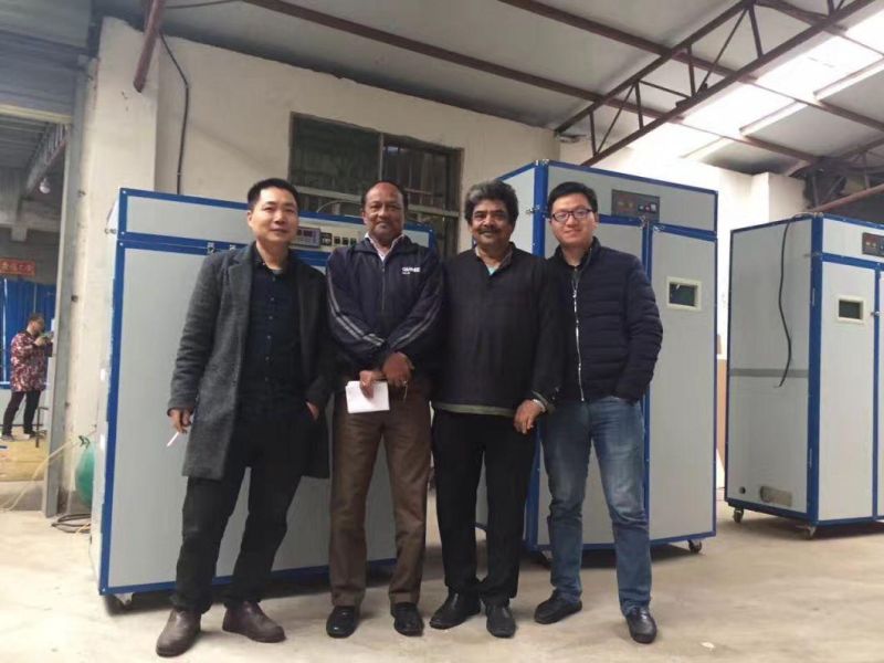 Hhd Hot Sale Chicken Egg Incubator for Sale Yzite-15