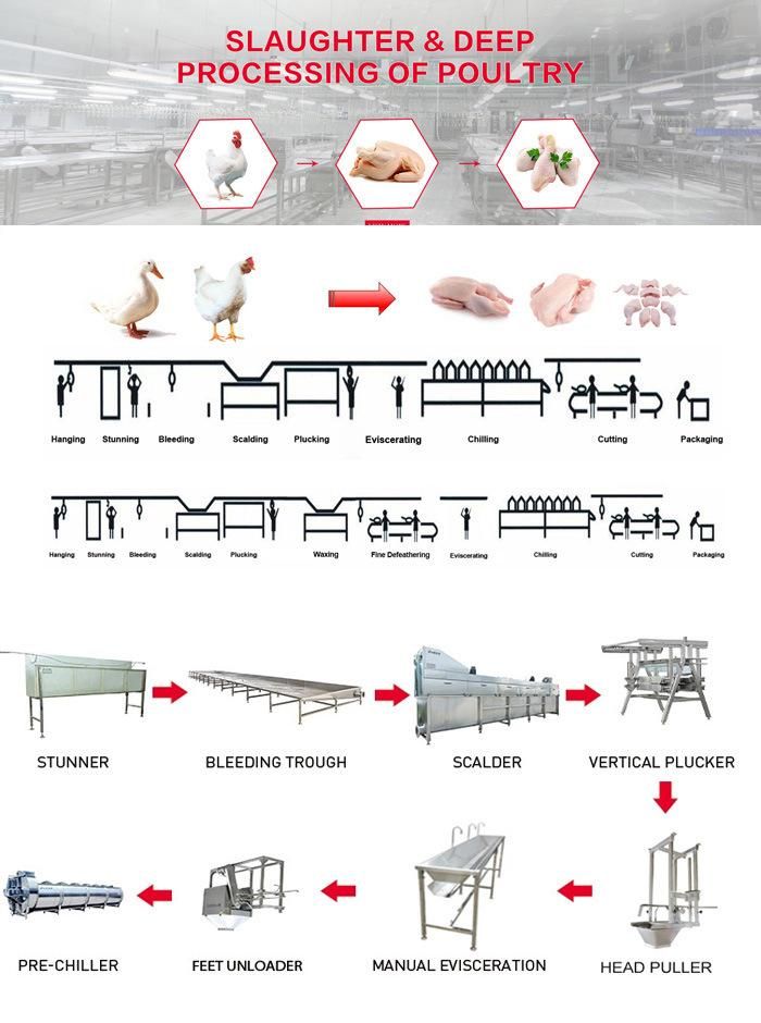 Halal Poultry Abattoir Slaughterhouse Processing Conveyor Line