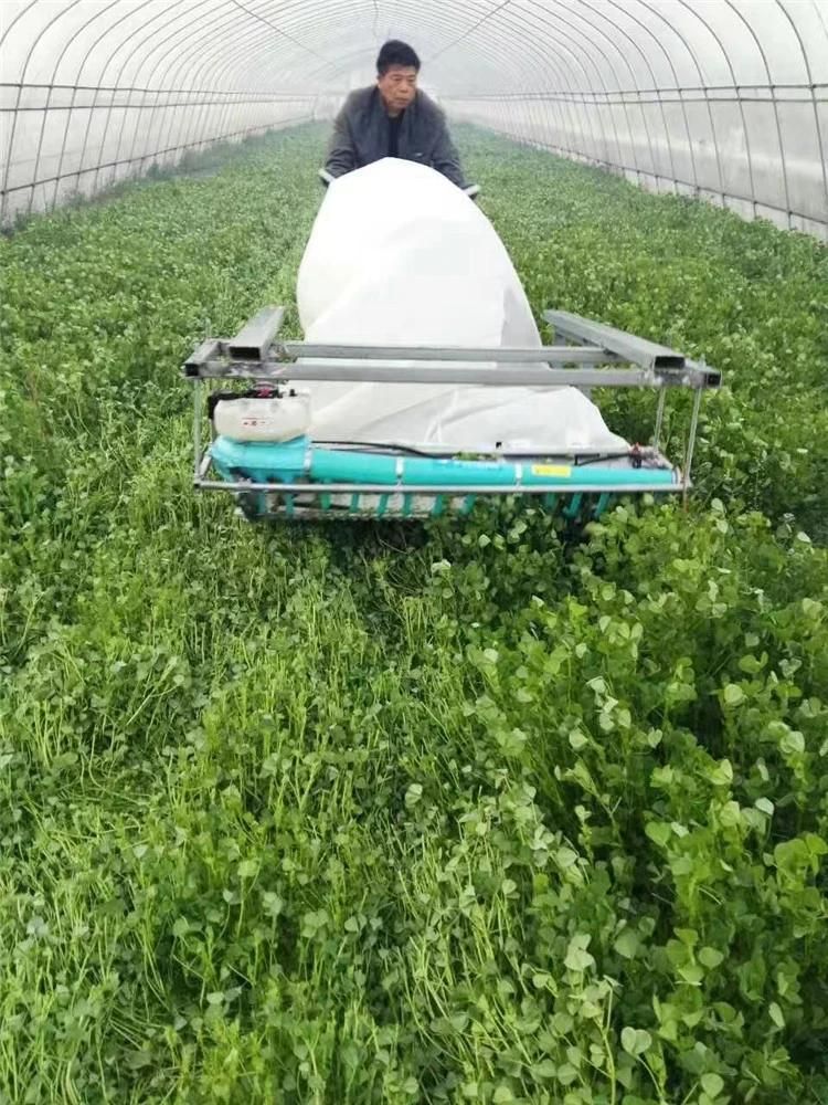 ISO Support Gasoline Power Lavender Picker Flower Vegetable Harvesting Machine