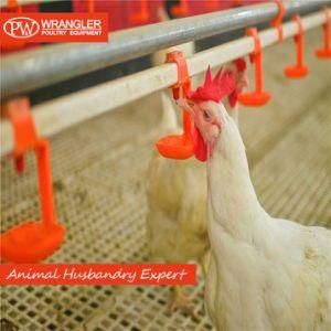 Poultry Farm Automatic Chicken Nipple Drinker