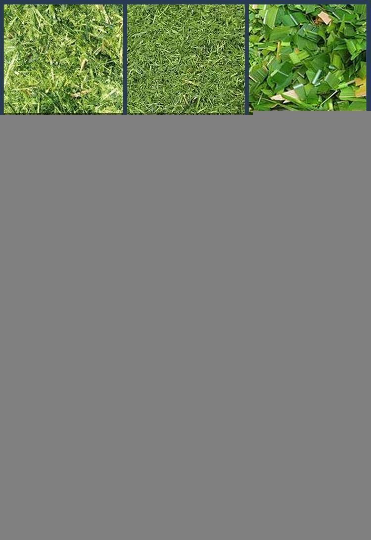 Factory Price Grass Corn Stalk Chaff Chopper Stalk Cutter Sales