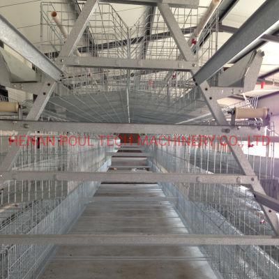 a Type Layer Cage Raising Equipment for 30000 Birds Layer Project