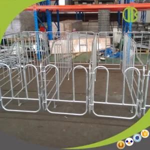 High Quality Pig Gestation Stall Gestation Stall for Pig Farm