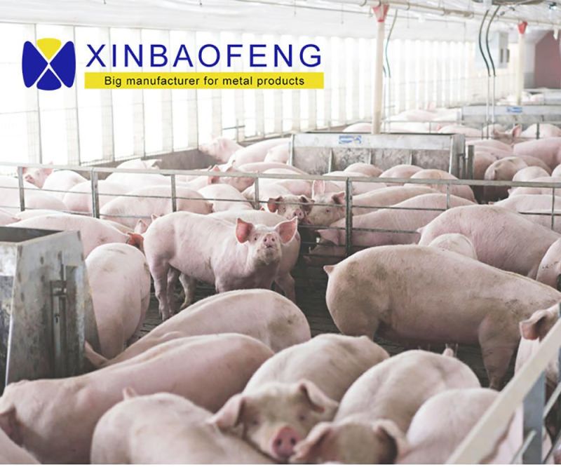 Intelligent Pig Farm Hot DIP Zinc Cage Breeding Sow Gestation Crate Stalls