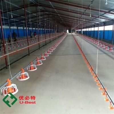 Lower Price Automatic Poultry Farm Equipment for Chicken Shed