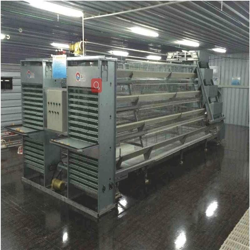 Poultry Farm Equipment for Layer Chciken / Poultry Farm Chicken Cages