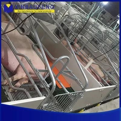 Pig Farming Sow Farrowing Crate Stalls for Sales