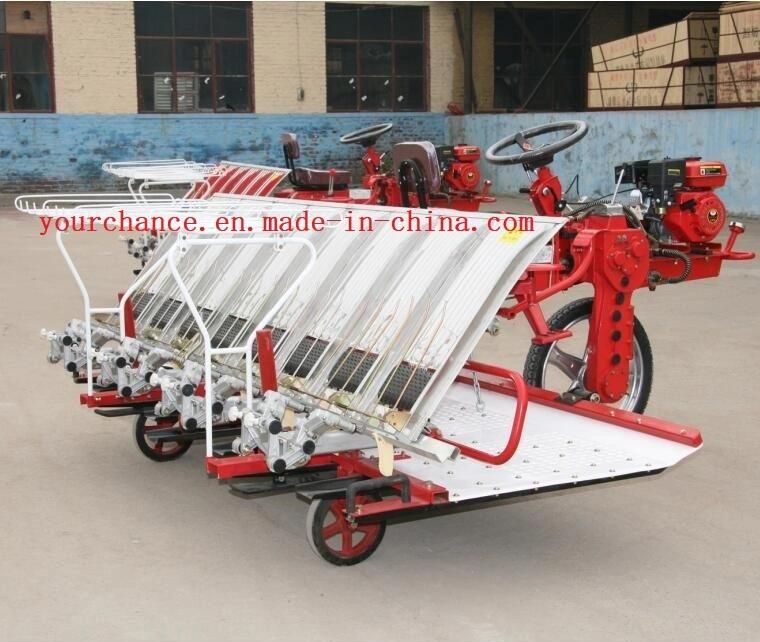 Hot Sale 2z-8300 8 Rows 300mm Rows Width Riding Type Rice Transplanter with ISO Ce Certificate