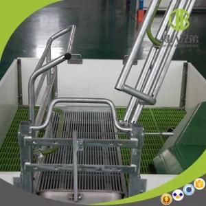 High Strengh Galvanized Farrowing Crates for Farm Equipment Galvanized Swine Farrowing Crates