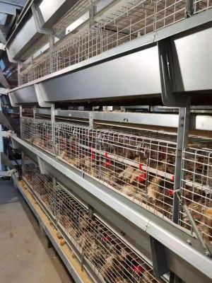 Layer Chicken Cage Poultry Farm Automatic Chicken Layer Cage Hot Sale