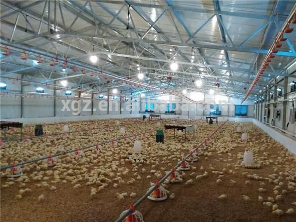 Poultry Feeding Equipment Broiler Chicken Cage