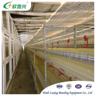 Wholesale Factory Price Automatic Poultry Animal Broiler Chickens Cages System