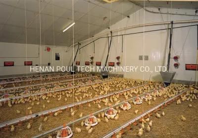 Poultry Broiler Growing System