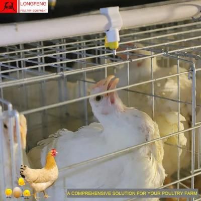 15-20years Local After-Sale Service in Asia Farm Chicken Cage Poultry Equipment