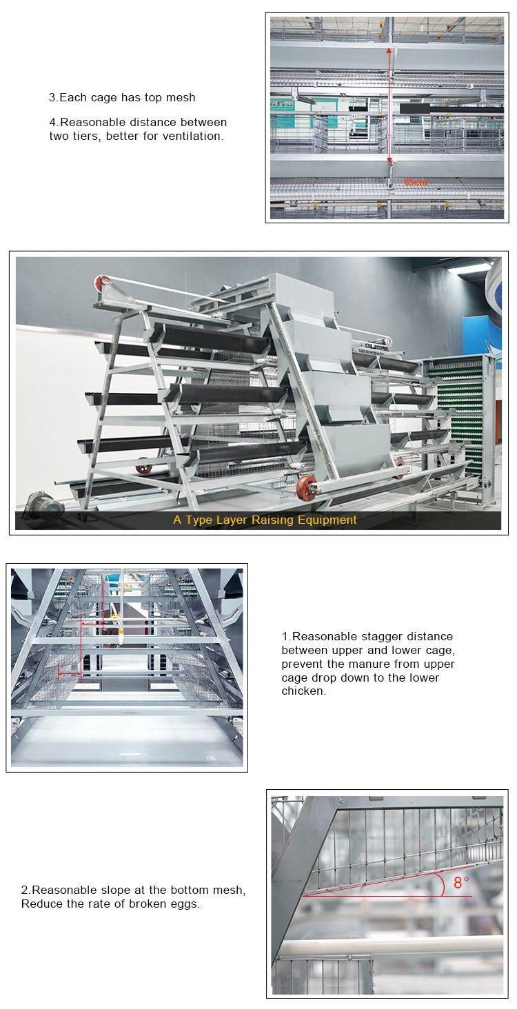 a Type Layer Chicken Cage Products From China
