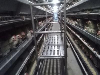 Poultry Egg Chicken Cage for Layer/Poultry Farm House Design