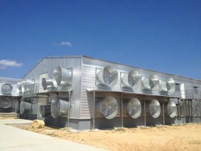 Project in Africa Poultry Farm Equipment/Professional Chicken Layer Cage