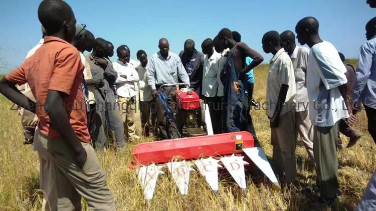 Walk Behind Binder for Rice and Wheat Paddy Reaper Machine